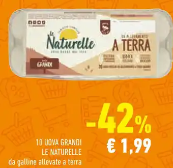 Conad Superstore 10 uova grandi LE NATURELLE offerta