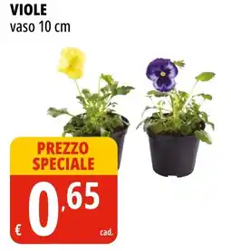 Tigros Viole vaso offerta