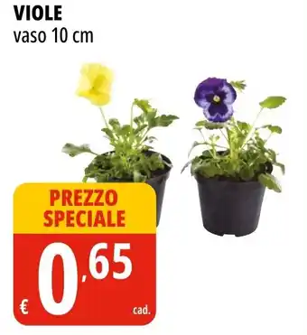 Tigros Viole vaso offerta