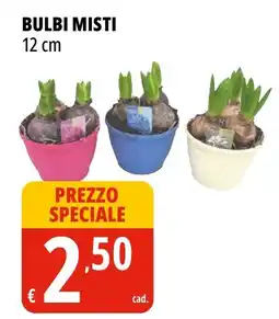 Tigros Bulbi misti offerta