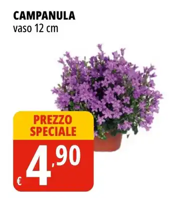 Tigros Campanula vaso offerta