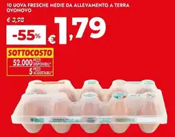 Bennet 10 uova fresche medie da allevamento a terra ovonovo offerta