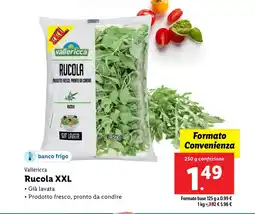 Lidl Vallericca Rucola XXL offerta