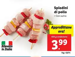 Lidl Spiedini di pollo offerta