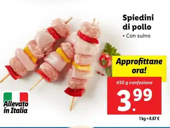 Lidl Spiedini di pollo offerta