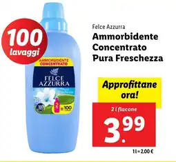 Lidl Felce Azzurra Ammorbidente Concentrato Pura Freschezza offerta