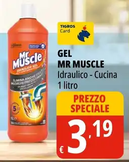 Tigros Gel MR MUSCLE Idraulico Cucina offerta