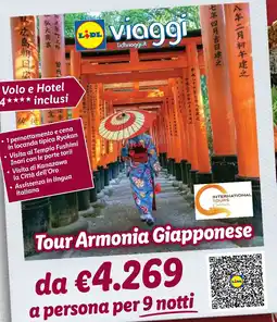 Lidl Tour Armonia Giapponese offerta