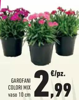 Conad Superstore Garofani colori mix offerta