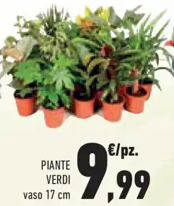 Conad Superstore Piante verdi offerta