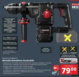 Lidl PARKSIDE PERFORMANCE Martello demolitore ricaricabile offerta