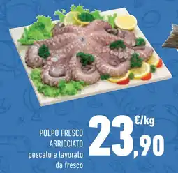 Conad Superstore Polpo fresco arricciato offerta