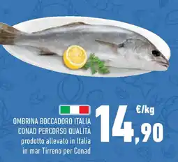 Conad Superstore Ombrina boccadoro italia conad percorso qualità offerta