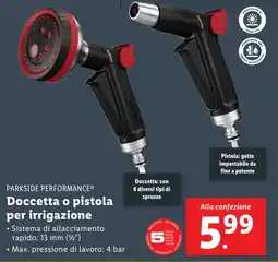 Lidl PARKSIDE PERFORMANCE Doccetta o pistola per irrigazione offerta