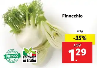 Lidl Finocchio offerta