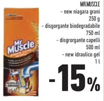 Conad Superstore Mr.muscle offerta