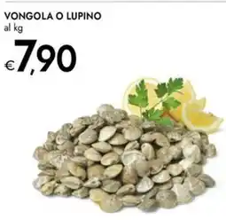 Bennet Vongola o lupino al kg offerta