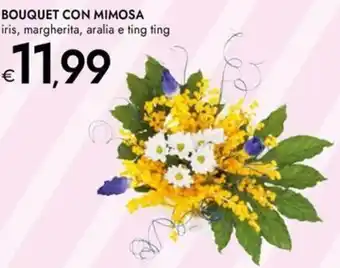 Bennet Bouquet con mimosa iris, margherita, aralia e ting ting offerta