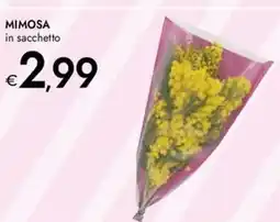 Bennet Mimosa in sacchetto offerta