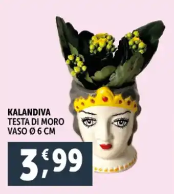 Deco Supermercati KALANDIVA Testa di moro offerta