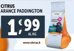 Deco Supermercati Arance paddington CITRUS offerta