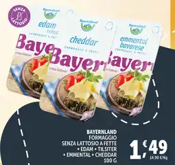 Deco Supermercati Bayernland formaggio senza lattosio a fette offerta