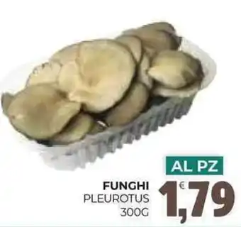 Eté FUNGHI Pleurotus offerta