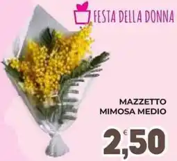 Eté Mazzetto mimosa medio offerta