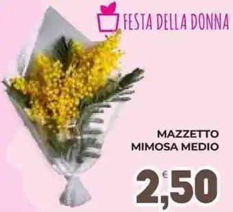 Eté Mazzetto mimosa medio offerta