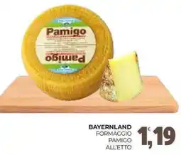 Eté Bayernland formaggio pamigo offerta