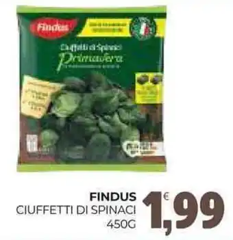 Eté Findus ciuffetti di spinaci offerta