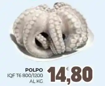 Eté Polpo iqf t6 800/1200 offerta