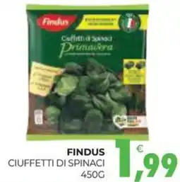 Eté Findus ciuffetti di spinaci offerta