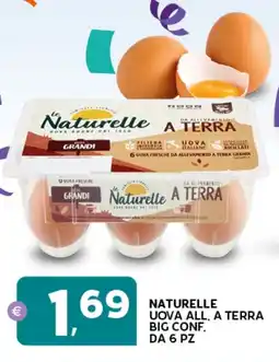 Extra Supermercati Naturelle uova all, a terra big offerta