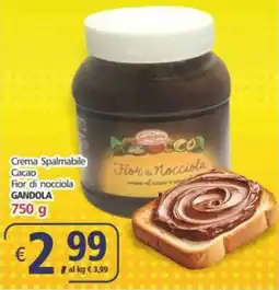 Alter Discount Crema Spalmabile Cacao Fior di nocciola GANDOLA offerta