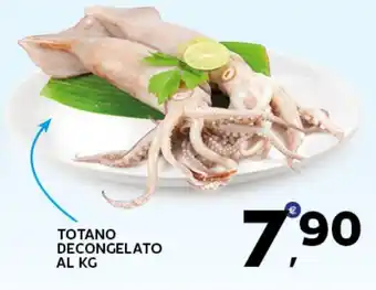 Extra Supermercati Totano decongelato offerta