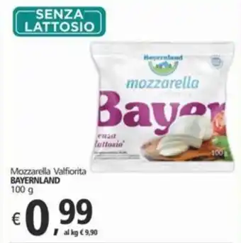 Alter Discount Mozzarella Valfiorita BAYERNLAND offerta