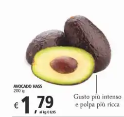 Alter Discount Avocado hass offerta