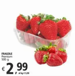 Alter Discount FRAGOLE Premium offerta