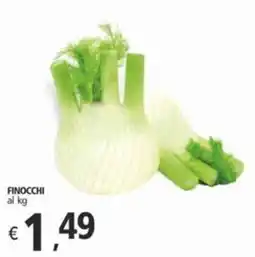 Alter Discount Finocchi offerta