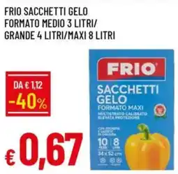 Galassia Frio sacchetti gelo formato medio offerta