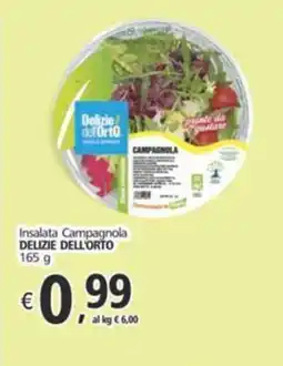 Alter Discount Insalata Campagnola DELIZIE DELL'ORTO offerta