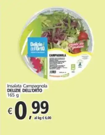 Alter Discount Insalata Campagnola DELIZIE DELL'ORTO offerta