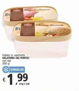 Alter Discount Gelato in vaschetta GELATERIA DEI PORTICI offerta
