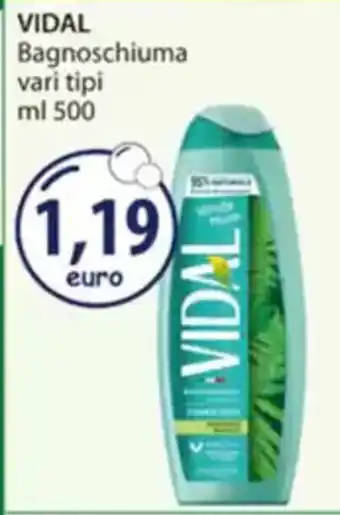 Acqua & Sapone VIDAL Bagnoschiuma vari tipi offerta