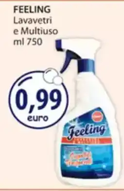 Acqua & Sapone FEELING Lavavetri e Multiuso offerta