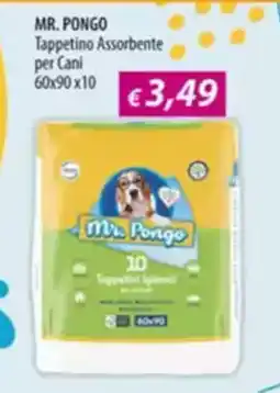 Acqua & Sapone MR. PONGO Tappetino Assorbente per Cani offerta