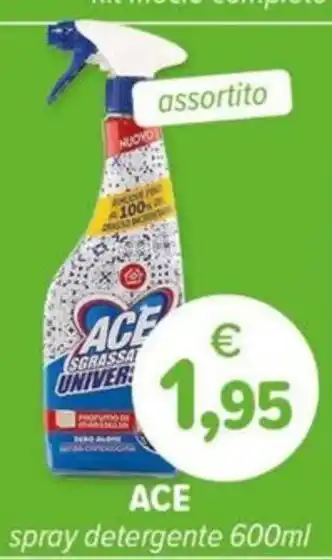 Il Tulipano ACE spray detergente offerta