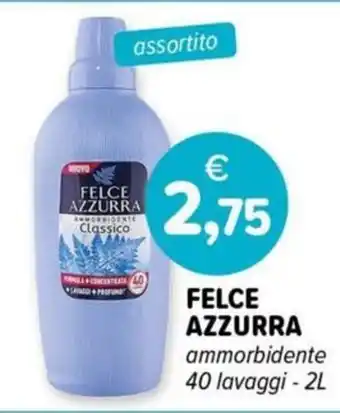 Il Tulipano FELCE AZZURRA AMMORSIDENTE Classico offerta