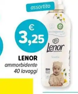 Il Tulipano LENOR ammorbidente offerta